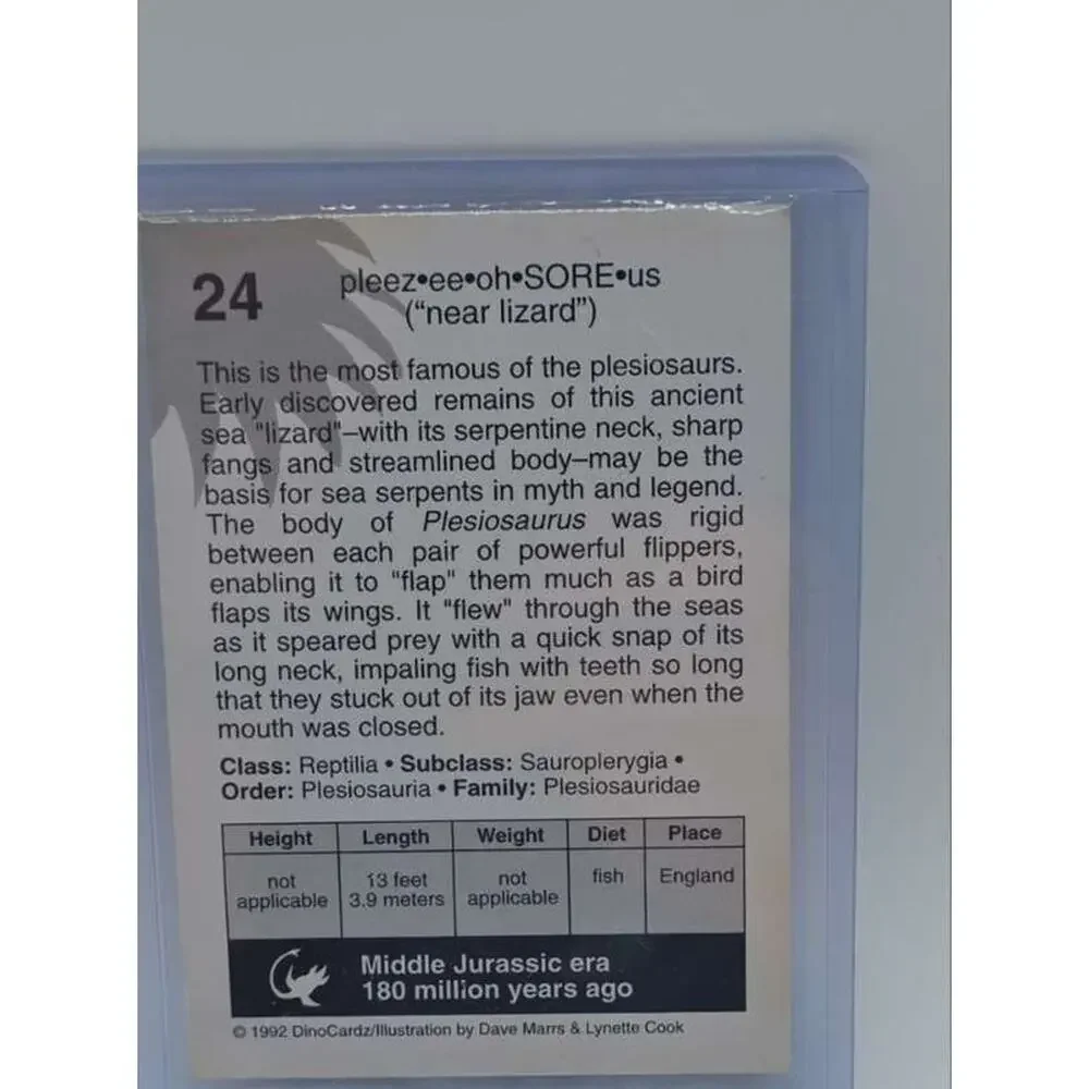 Rare DinoCardz #24 Plesiosaurus Collectible Card
